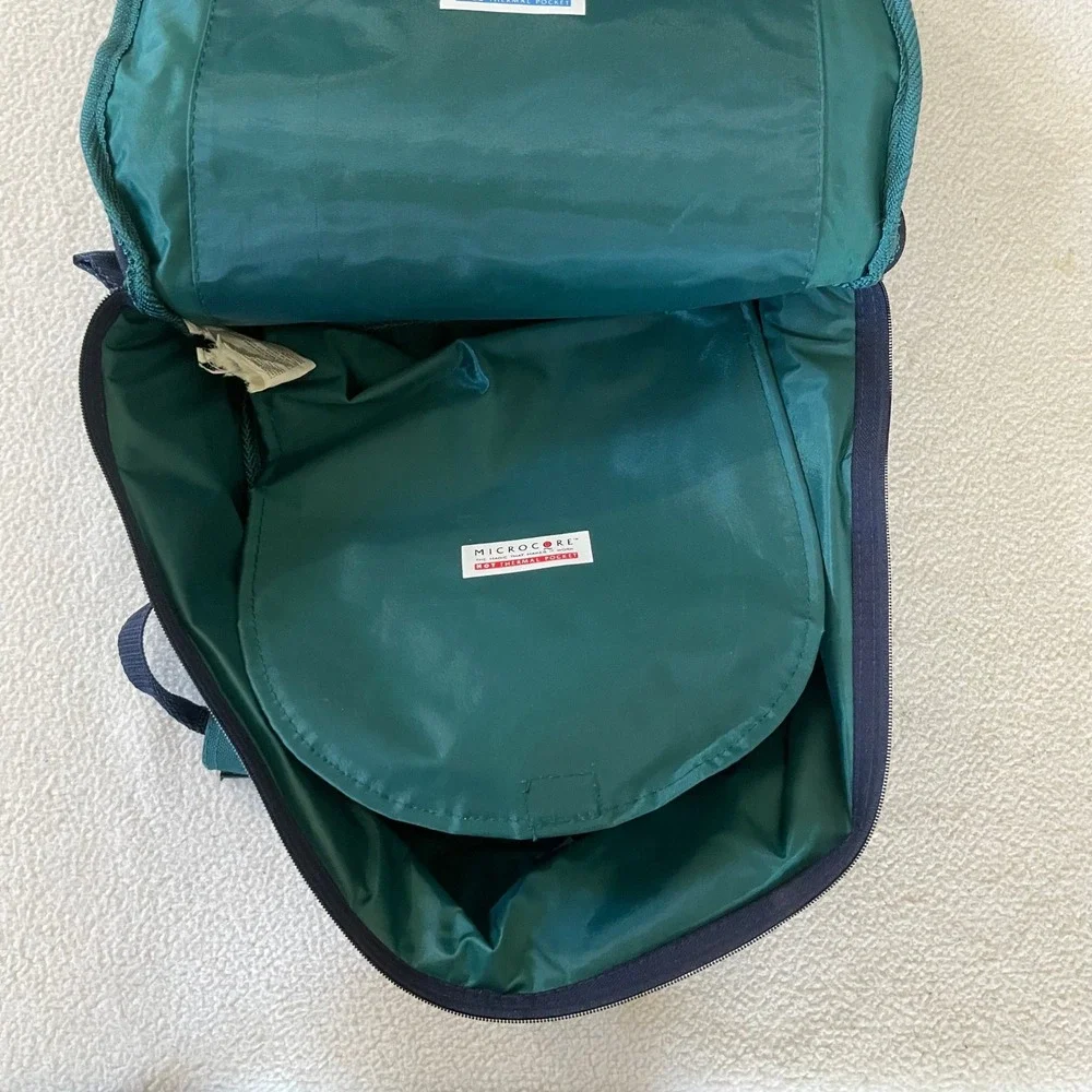12x12x4 Pyrex Portable Way To‎ Go Insulated Hot Cold Carrier Handles Bag Only